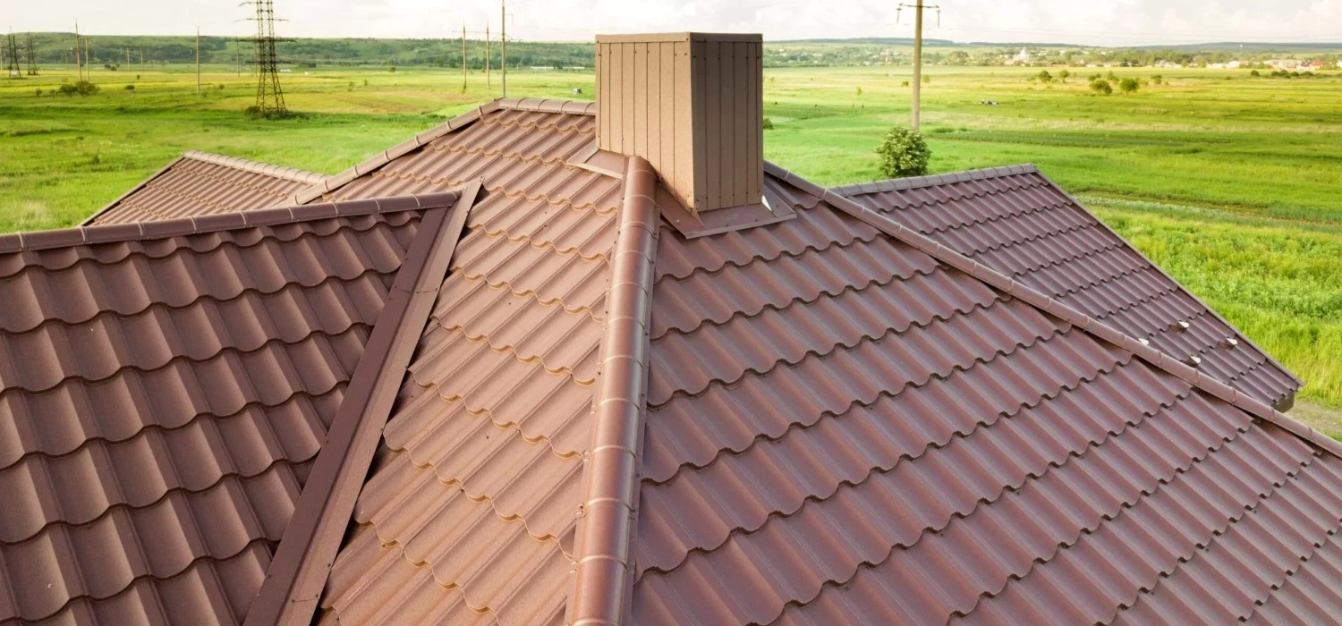 Chimney Animal & Nest Removal