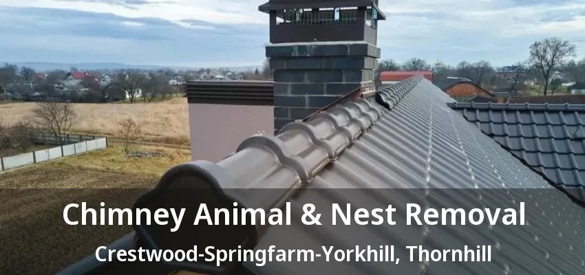 Chimney Animal & Nest Removal Crestwood-Springfarm-Yorkhill, Thornhill - ON Chimney Animal & Nest Removal Crestwood-Springfarm-Yorkhill, Thornhill - ON