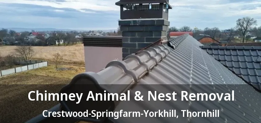 Chimney Animal & Nest Removal Crestwood-Springfarm-Yorkhill, Thornhill - ON Chimney Animal & Nest Removal Crestwood-Springfarm-Yorkhill, Thornhill - ON