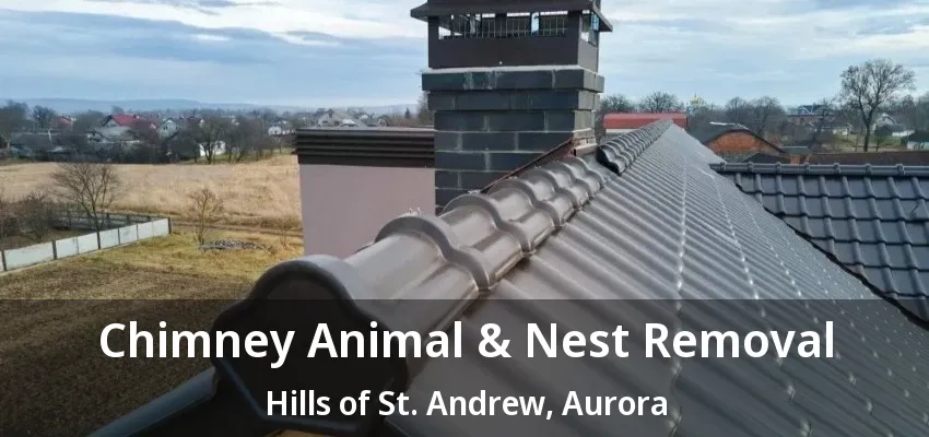 Chimney Animal & Nest Removal Hills of St. Andrew, Aurora - ON Chimney Animal & Nest Removal Hills of St. Andrew, Aurora - ON