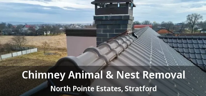 Chimney Animal & Nest Removal North Pointe Estates, Stratford - ON