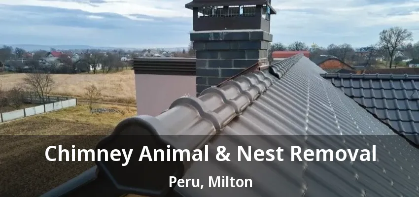 Chimney Animal & Nest Removal Peru, Milton - ON Chimney Animal & Nest Removal Peru, Milton - ON