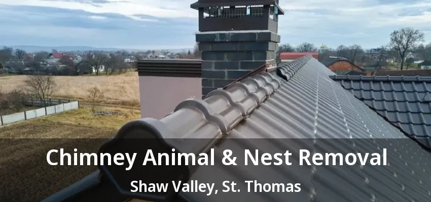 Chimney Animal & Nest Removal Shaw Valley, St. Thomas - ON Chimney Animal & Nest Removal Shaw Valley, St. Thomas - ON