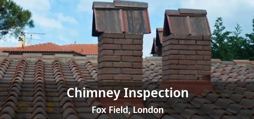 Chimney Inspection Fox Field, London - ON Chimney Inspection Fox Field, London - ON