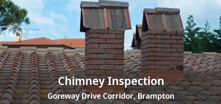 Chimney Inspection Goreway Drive Corridor, Brampton - ON Chimney Inspection Goreway Drive Corridor, Brampton - ON