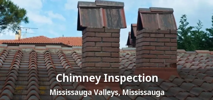 Chimney Inspection Mississauga Valleys, Mississauga - ON Chimney Inspection Mississauga Valleys, Mississauga - ON