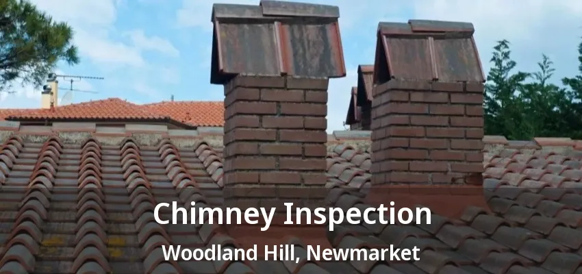 Chimney Inspection Woodland Hill, Newmarket - ON Chimney Inspection Woodland Hill, Newmarket - ON