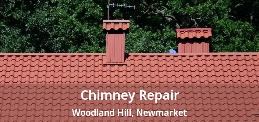 Chimney Repair Woodland Hill, Newmarket - ON Chimney Repair Woodland Hill, Newmarket - ON