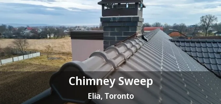 Chimney Sweep Elia, Toronto - ON Chimney Sweep Elia, Toronto - ON