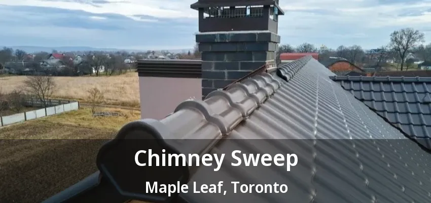 Chimney Sweep Maple Leaf, Toronto - ON Chimney Sweep Maple Leaf, Toronto - ON