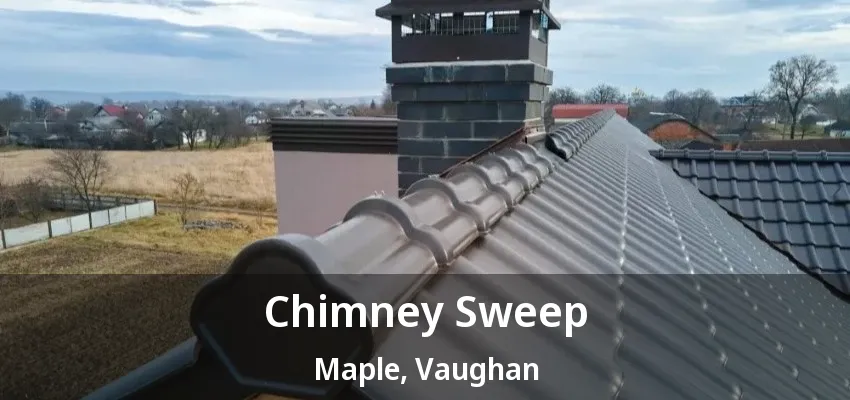 Chimney Sweep Maple, Vaughan - ON Chimney Sweep Maple, Vaughan - ON