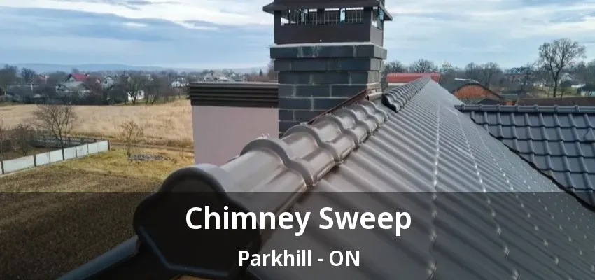 Chimney Sweep Parkhill - ON