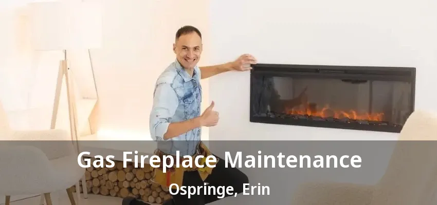 Gas Fireplace Maintenance Ospringe, Erin - ON Gas Fireplace Maintenance Ospringe, Erin - ON