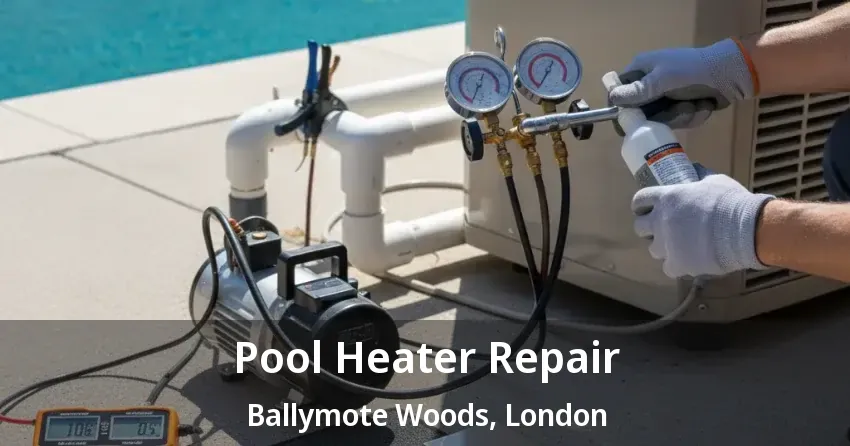Pool Heater Repair Ballymote Woods, London - ON