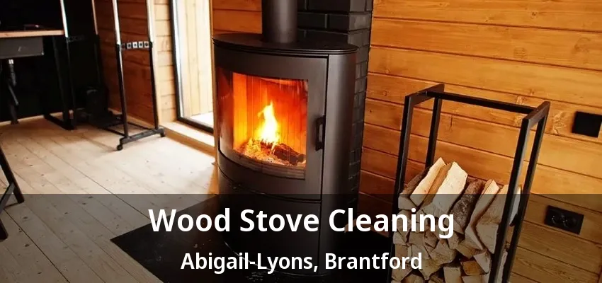 Wood Stove Cleaning Abigail-Lyons, Brantford - ON Wood Stove Cleaning Abigail-Lyons, Brantford - ON